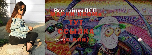 крисы Аркадак
