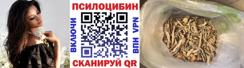 Псилоцибиновые грибы мицелий mega рабочий сайт Вихоревка